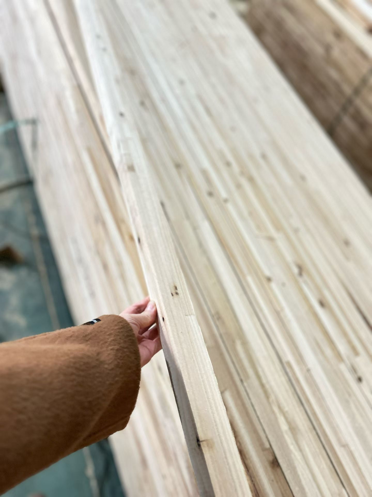 wooden doors wooden doors