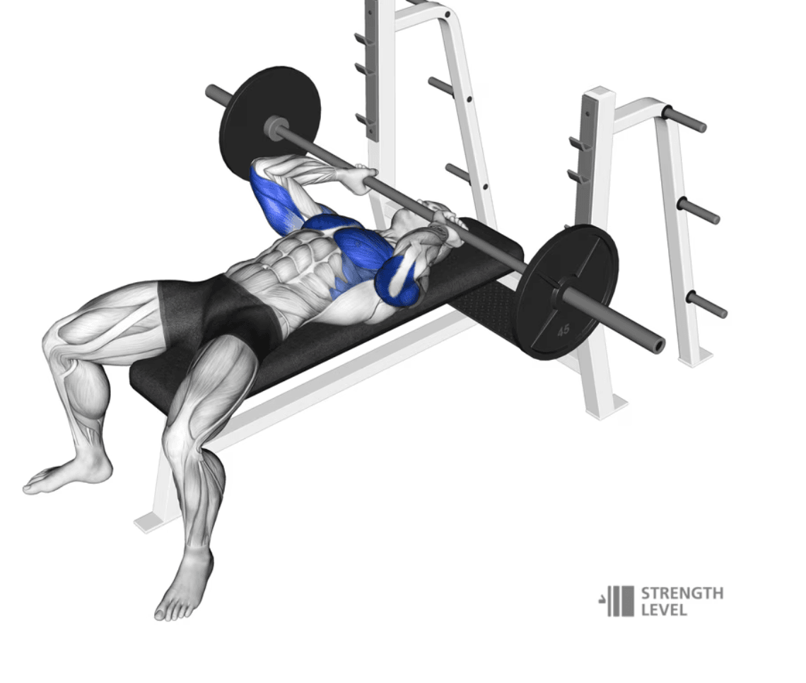 A sporty Asian woman is sitting on a bench press and performing a dumbbell overhead tricep extension