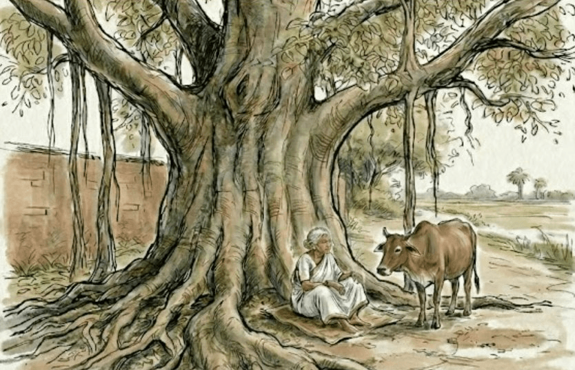 The Old Woman, the Cow and the Peepal Tree