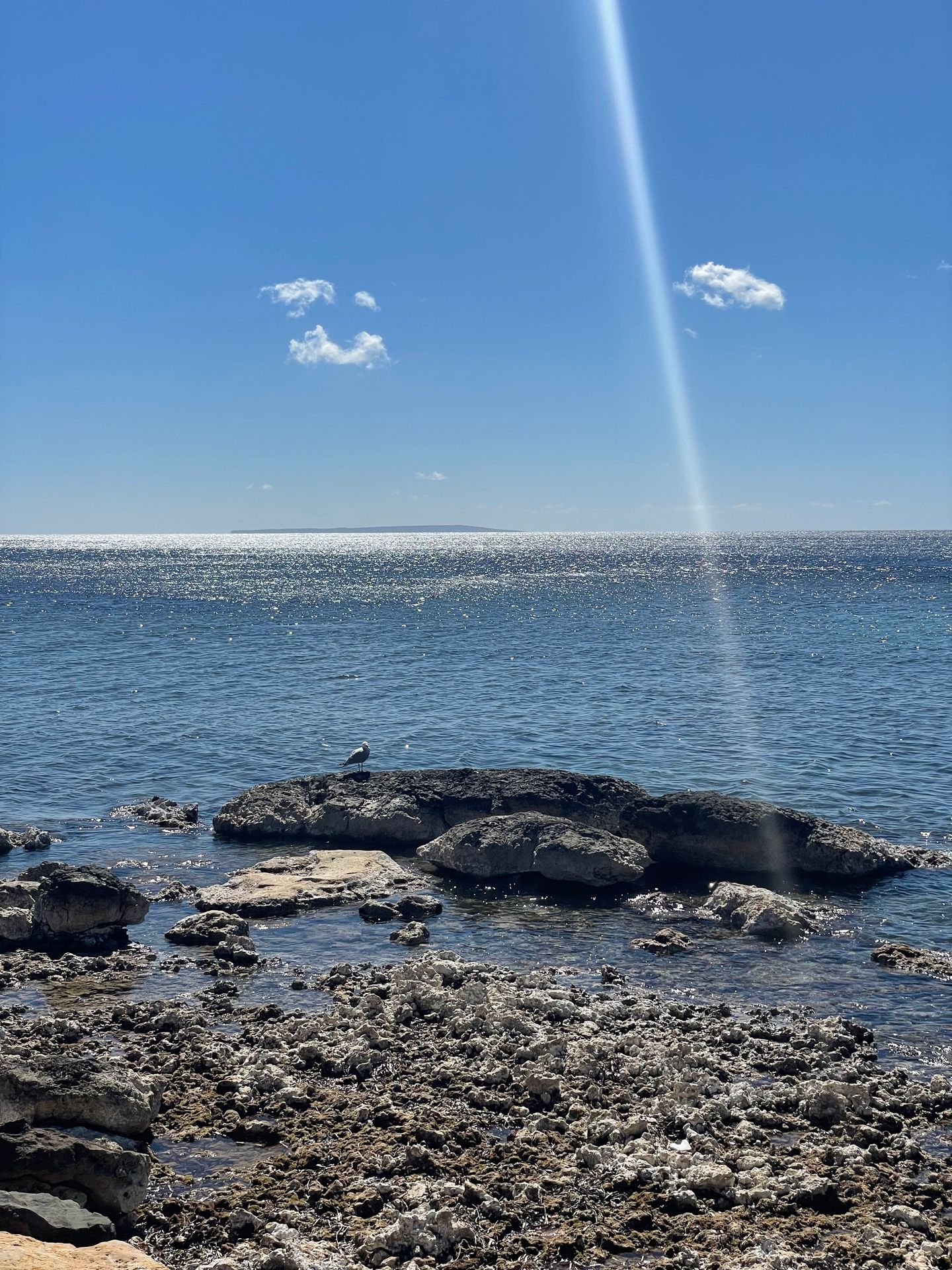 Luxury curated family villas in Ibiza with design interiors, authentic island homes and concierge services for a calm and soulful stay.