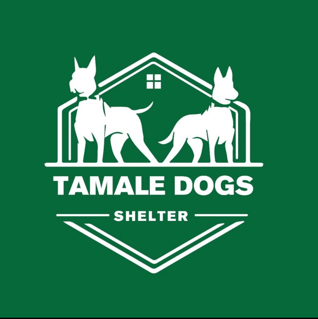 tamale_dogs_shelter