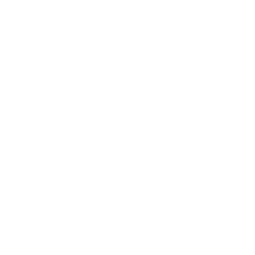 Exchange District BIZ