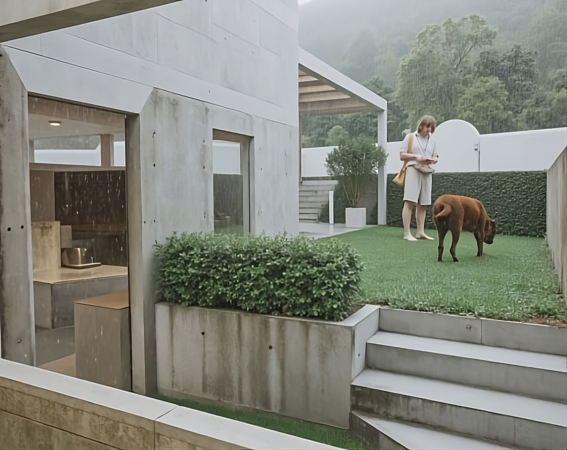 Casas con cercas vivas y jardines propios Casas con cercas vivas y jardines propios