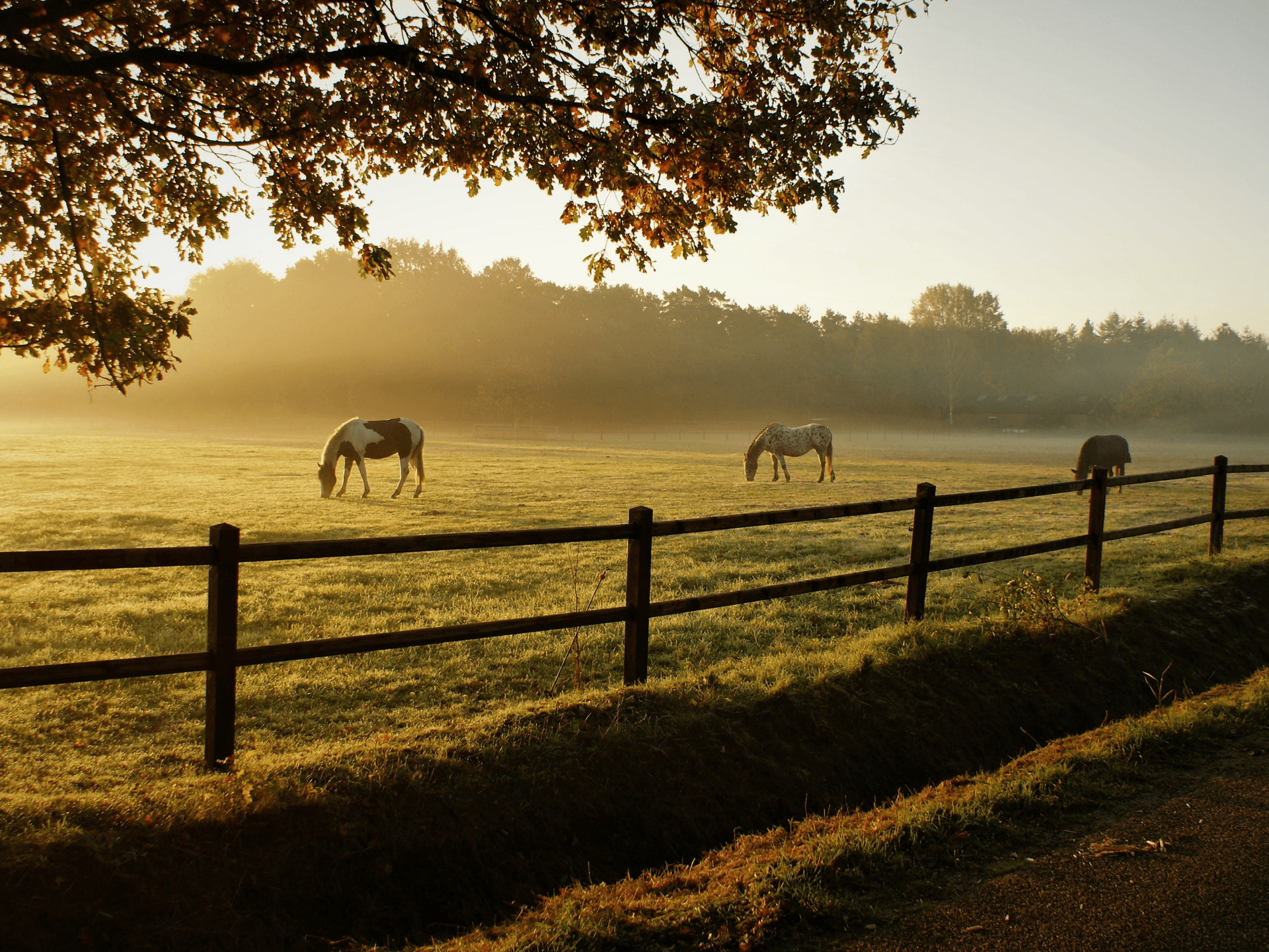 black butte ranch