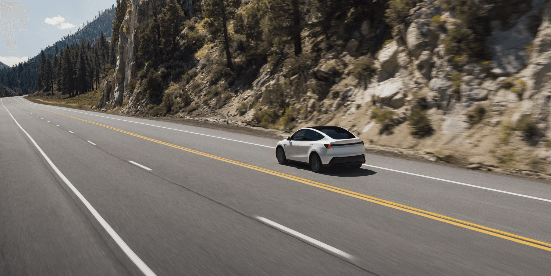 Tesla Model Y Standard