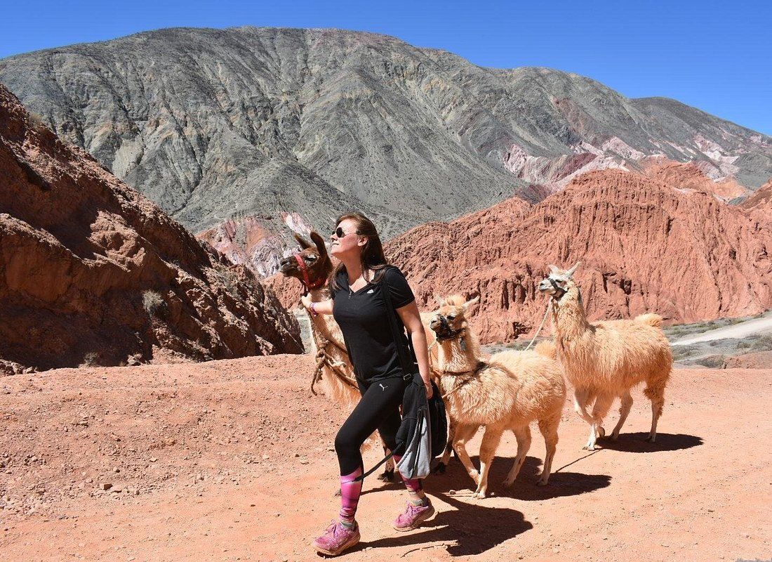 Viñedos y cerros de Cafayate, Salta