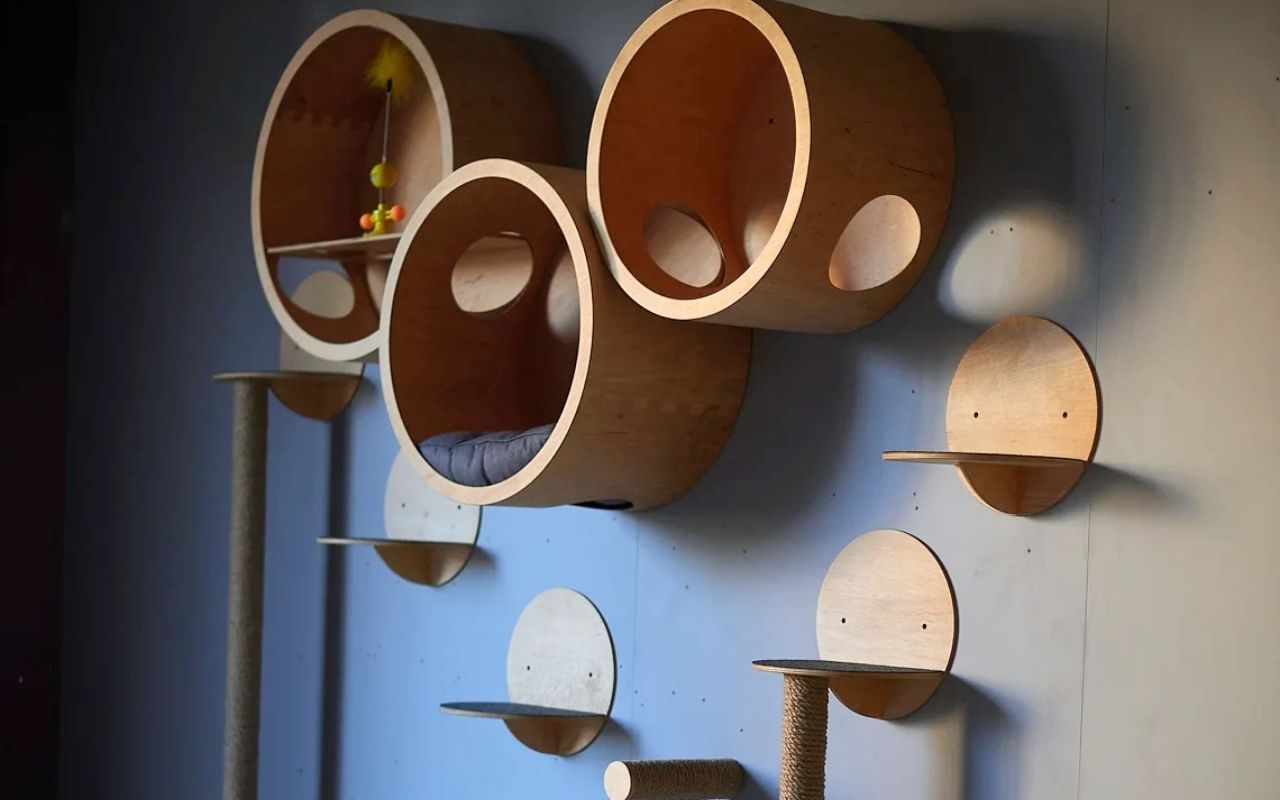 Parcours mural pour chat. Parcours mural pour chat.