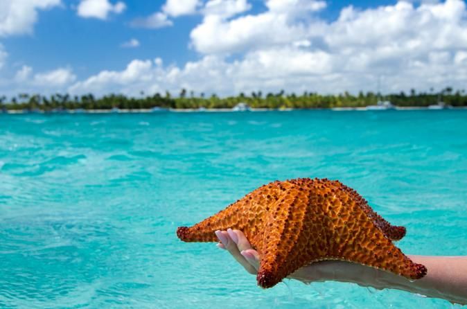 Hand holding a bright orange starfish over turquoise Caribbean waters near Saona Island on a sunny day.