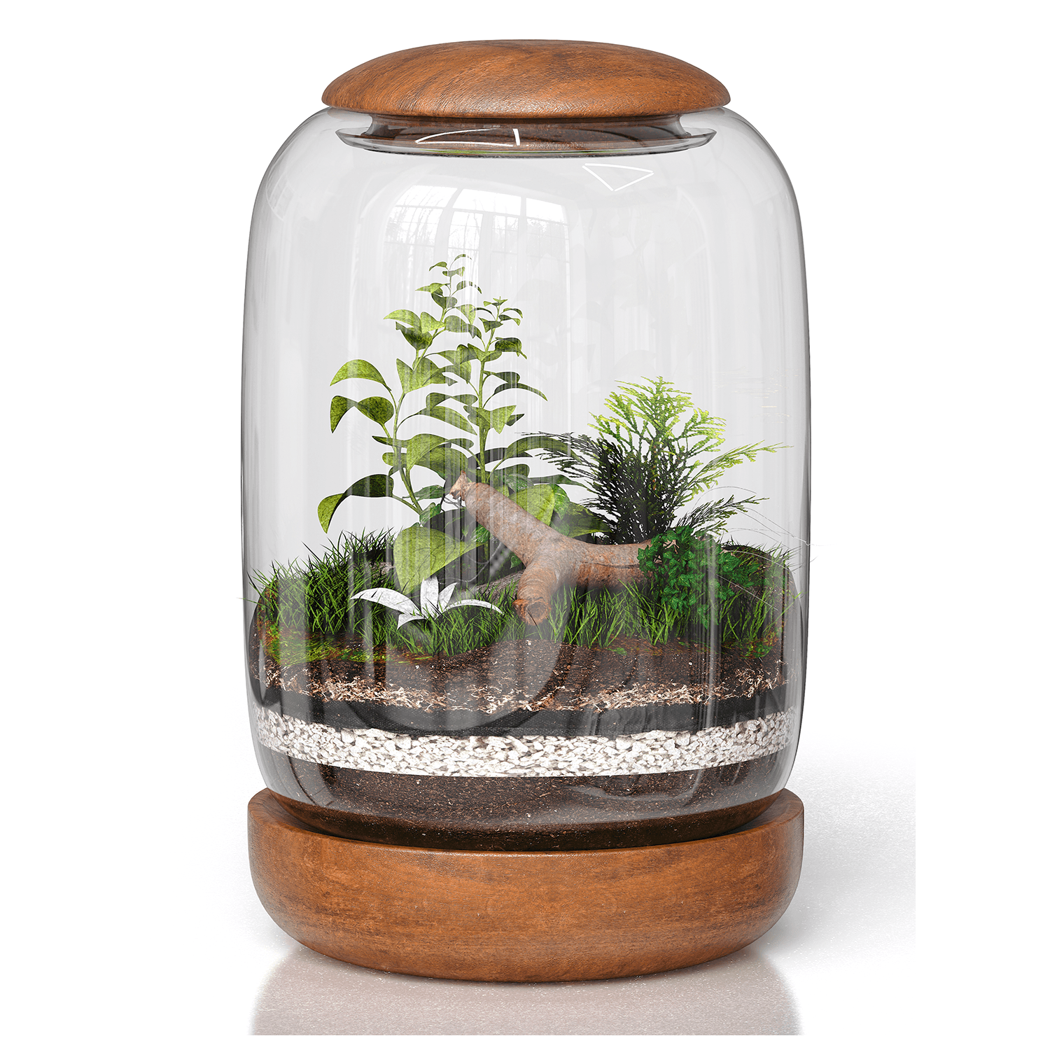 decorative terrarium