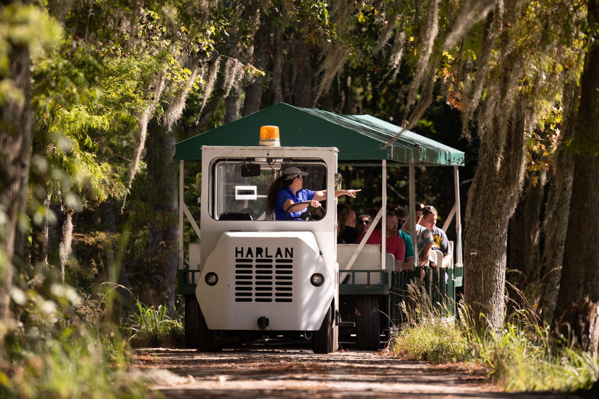 Open-air tram carrying visitors through a historic plantation lined with oak trees and hanging Spanish moss. Open-air tram carrying visitors through a historic plantation lined with oak trees and hanging Spanish moss.