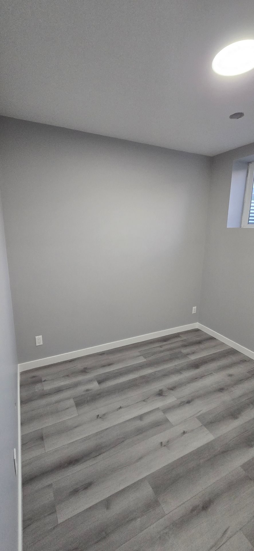 professional painting service