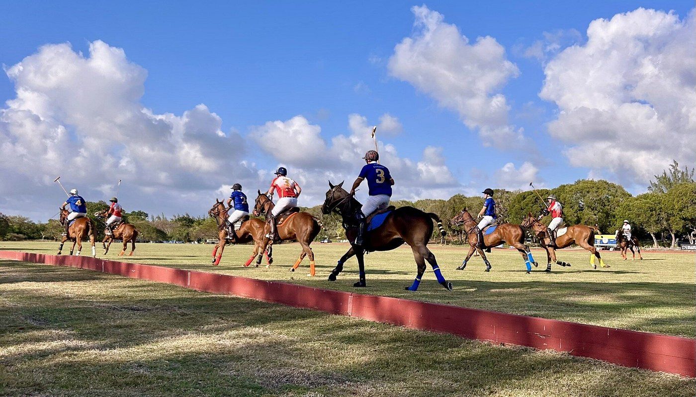 Couple Celebrating with Champagne at a Polo Match Couple Celebrating with Champagne at a Polo Match