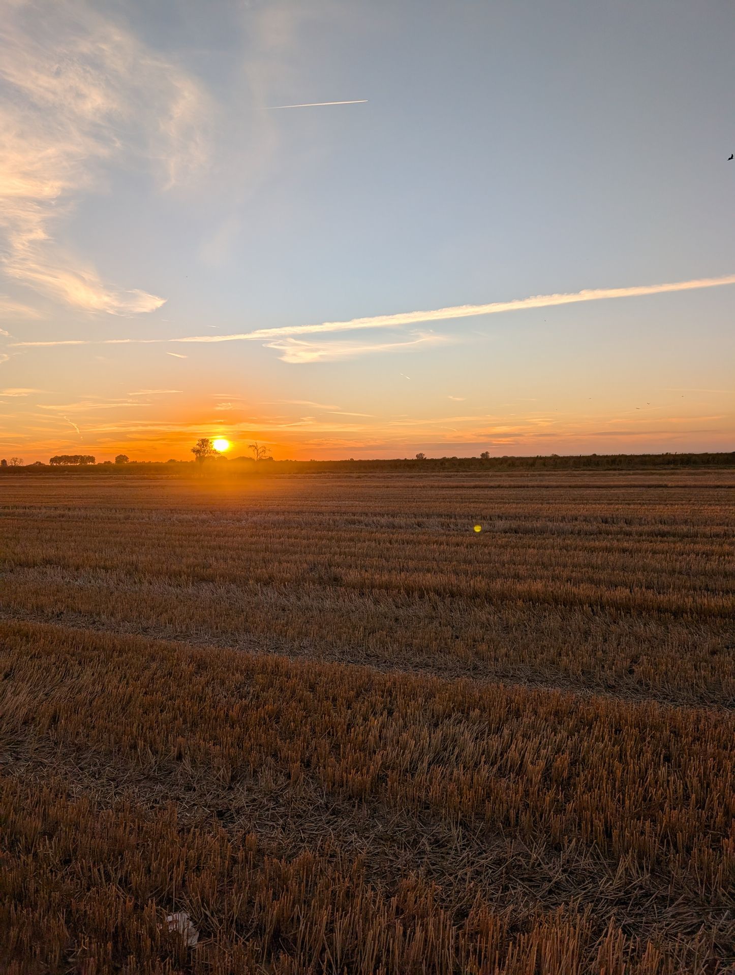 Paisaje de Ponent al atardecer, ideal para una escapada tranquila de dos días