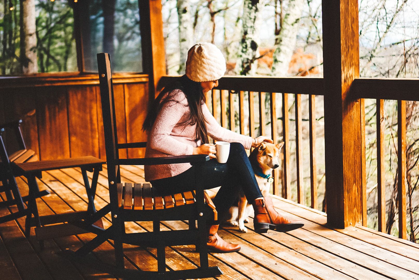 pet friendly cabin pet friendly cabin