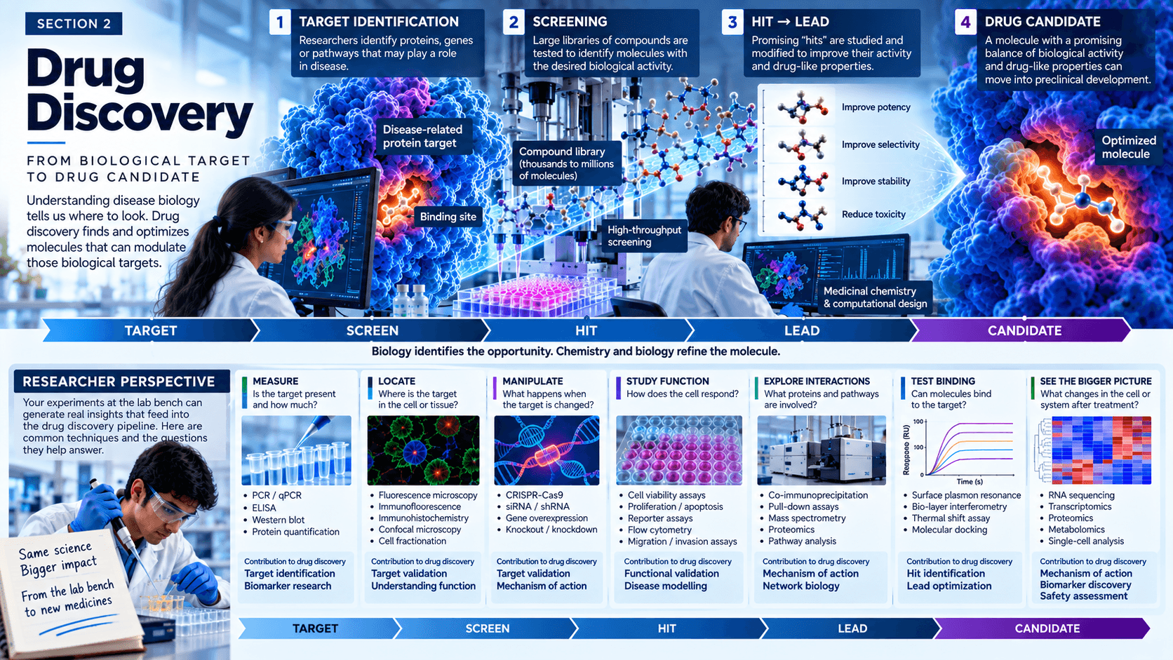 Drug Discovery Drug Discovery