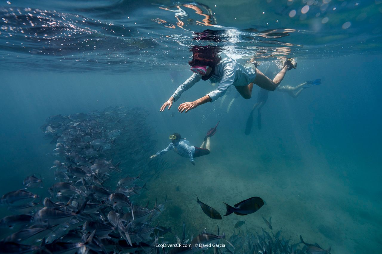 snorkeling costa rica
