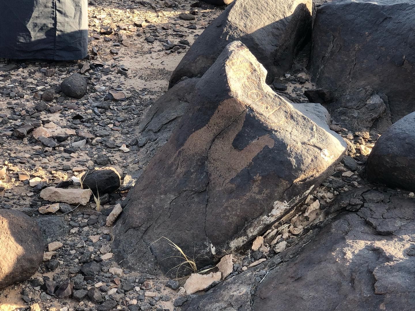 Safiatic inscriptions from Jordan