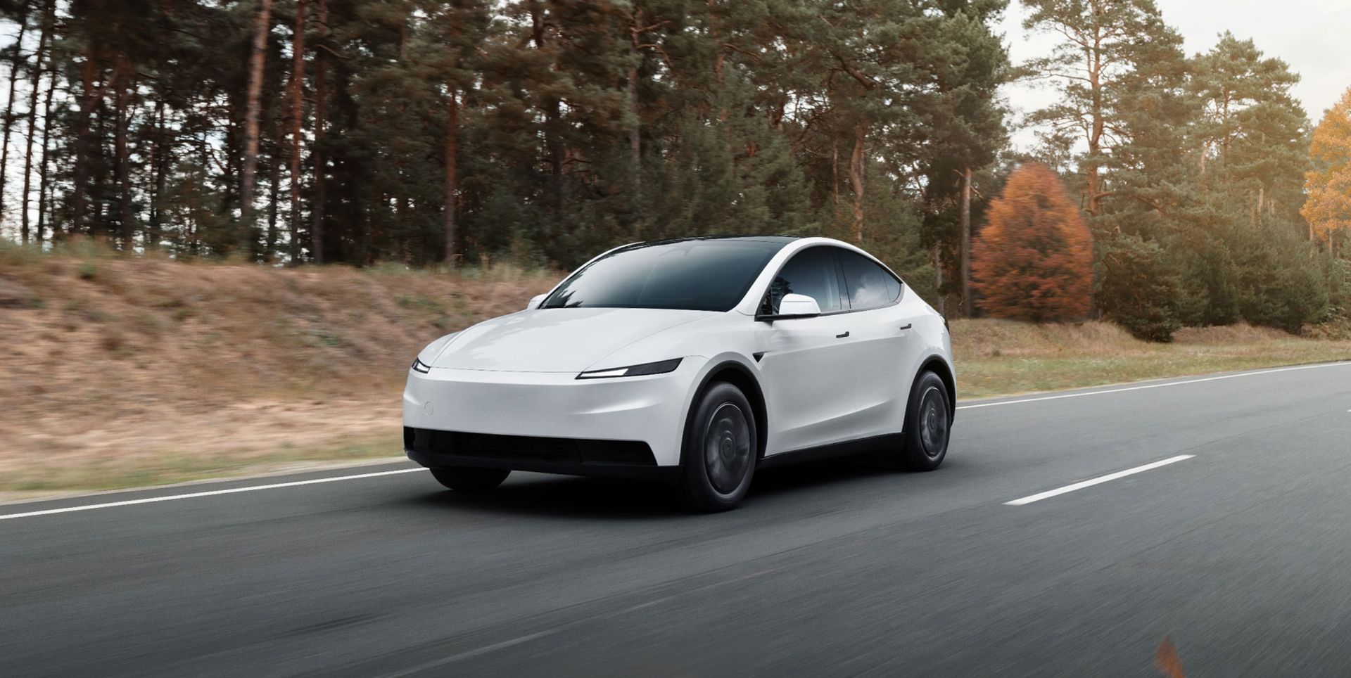 Tesla Model Y Standard