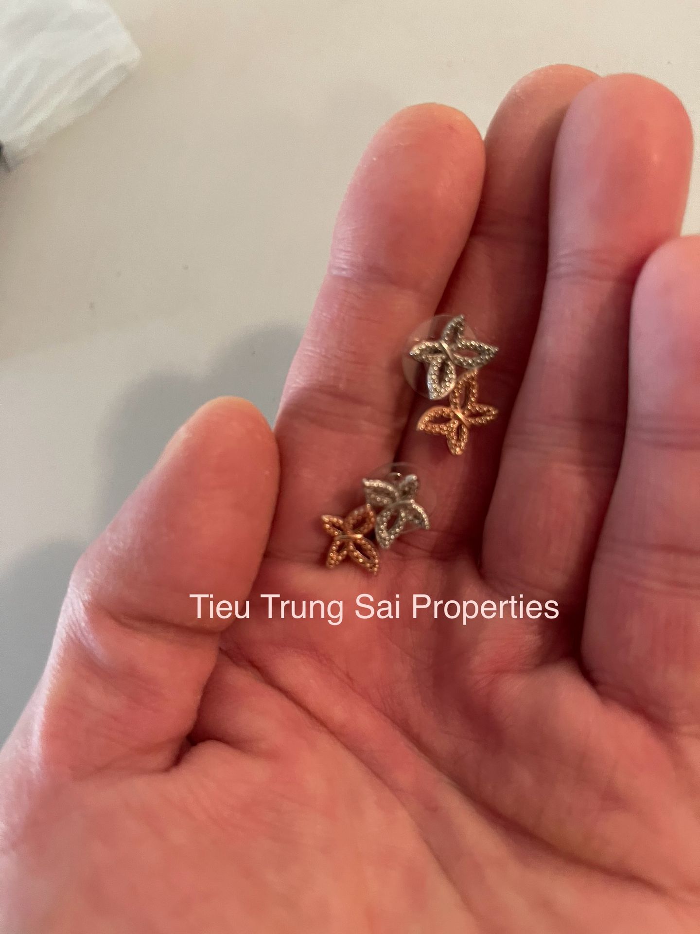 Tieu Trung Sai Properties