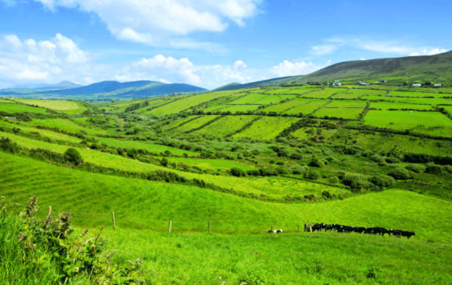 Oil Prices Moving Down Concept with US Dollar Stack Barrels and a Red Arrow Oil Prices Moving Down Concept with US Dollar Stack Barrels and a Red Arrow