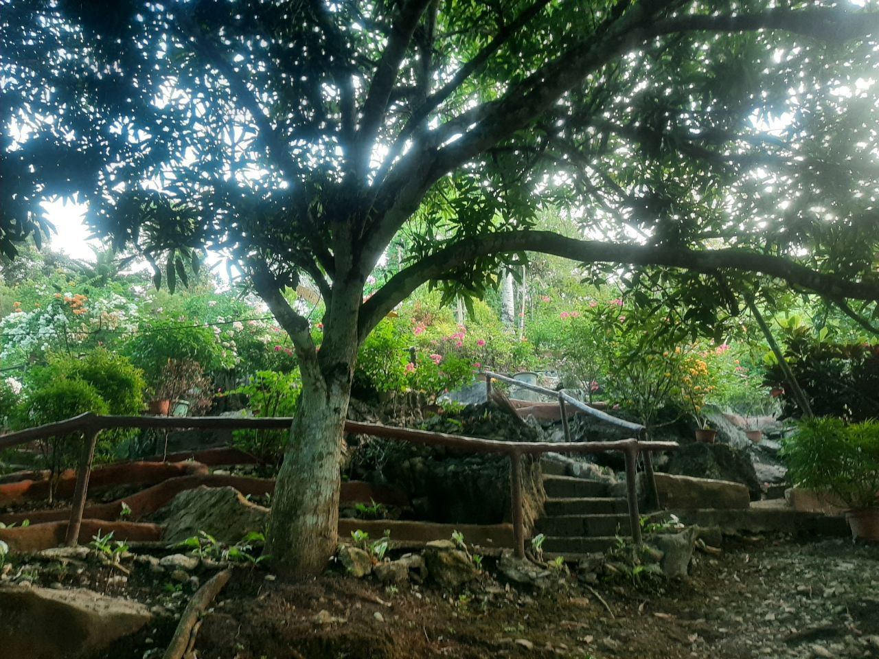 mushroom farm location