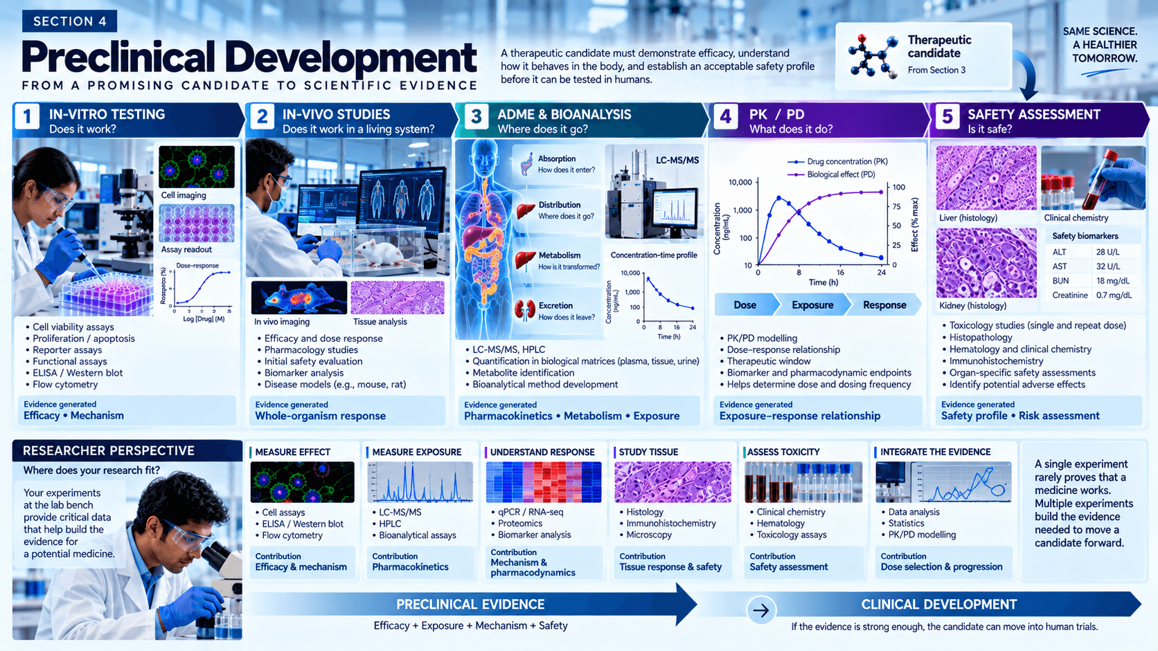 Preclinical Development Preclinical Development