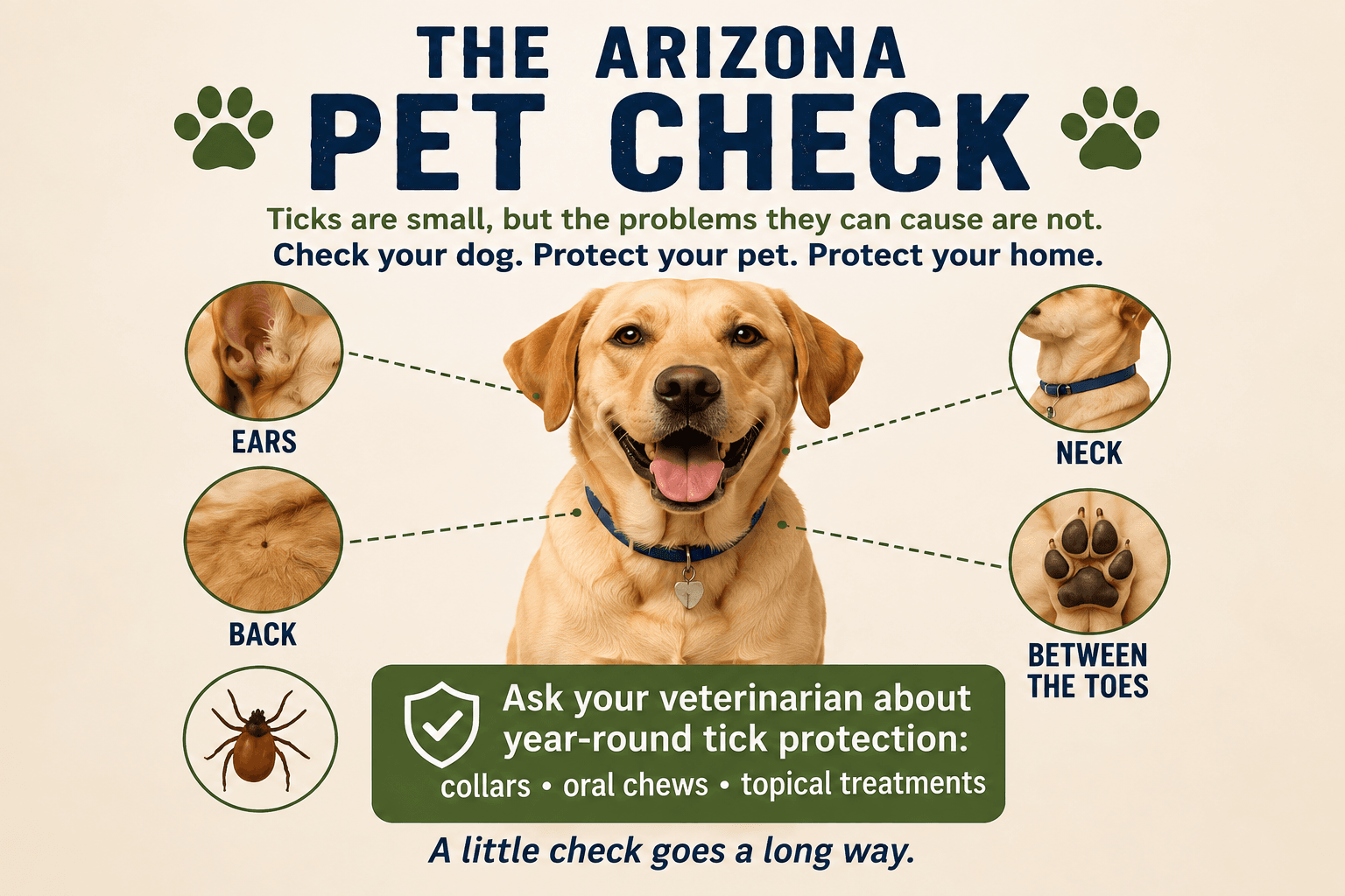 Arizona Pet Check infographic showing a dog and common areas to check for ticks, including the ears, neck, back, and between the toes, with a reminder to ask your veterinarian about year-round tick protection. Arizona Pet Check infographic showing a dog and common areas to check for ticks, including the ears, neck, back, and between the toes, with a reminder to ask your veterinarian about year-round tick protection.