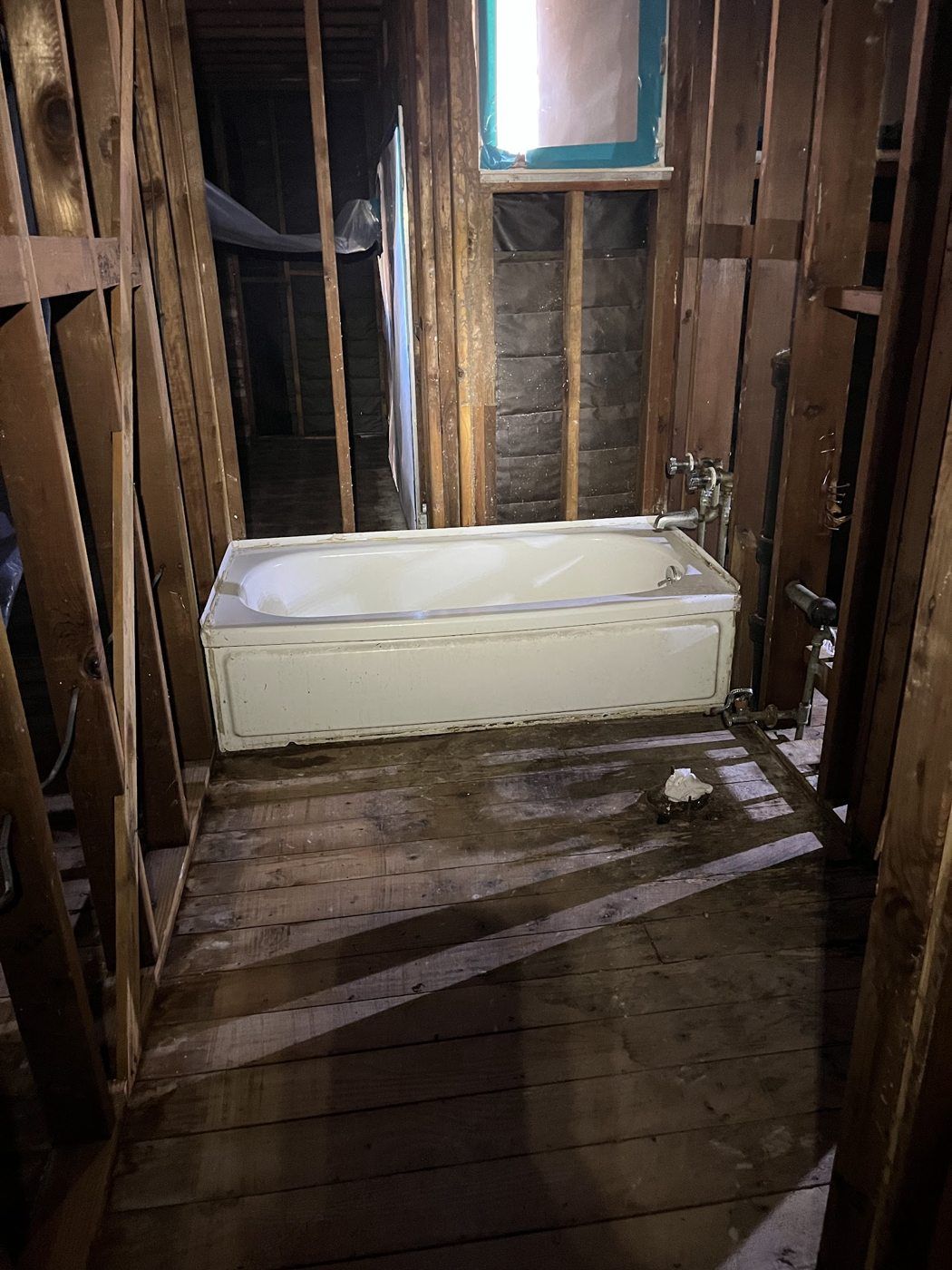 Fremont project, photo 07: Bathroom demolition