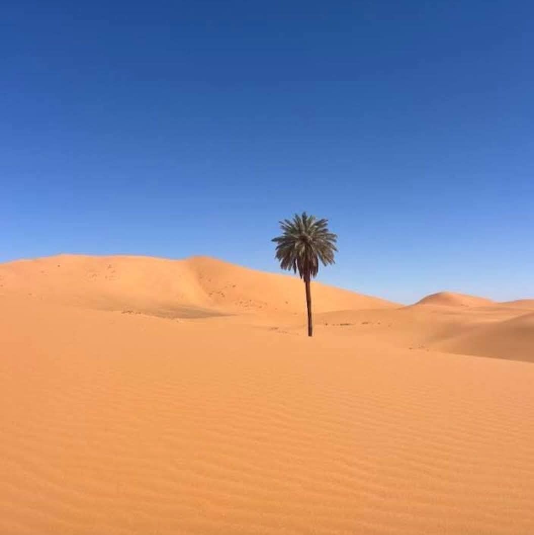 erg chebbi