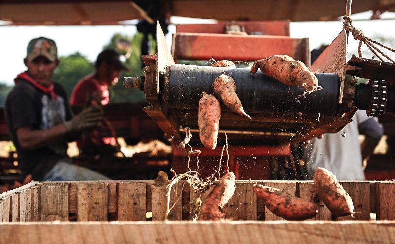 Dettelbach Farms