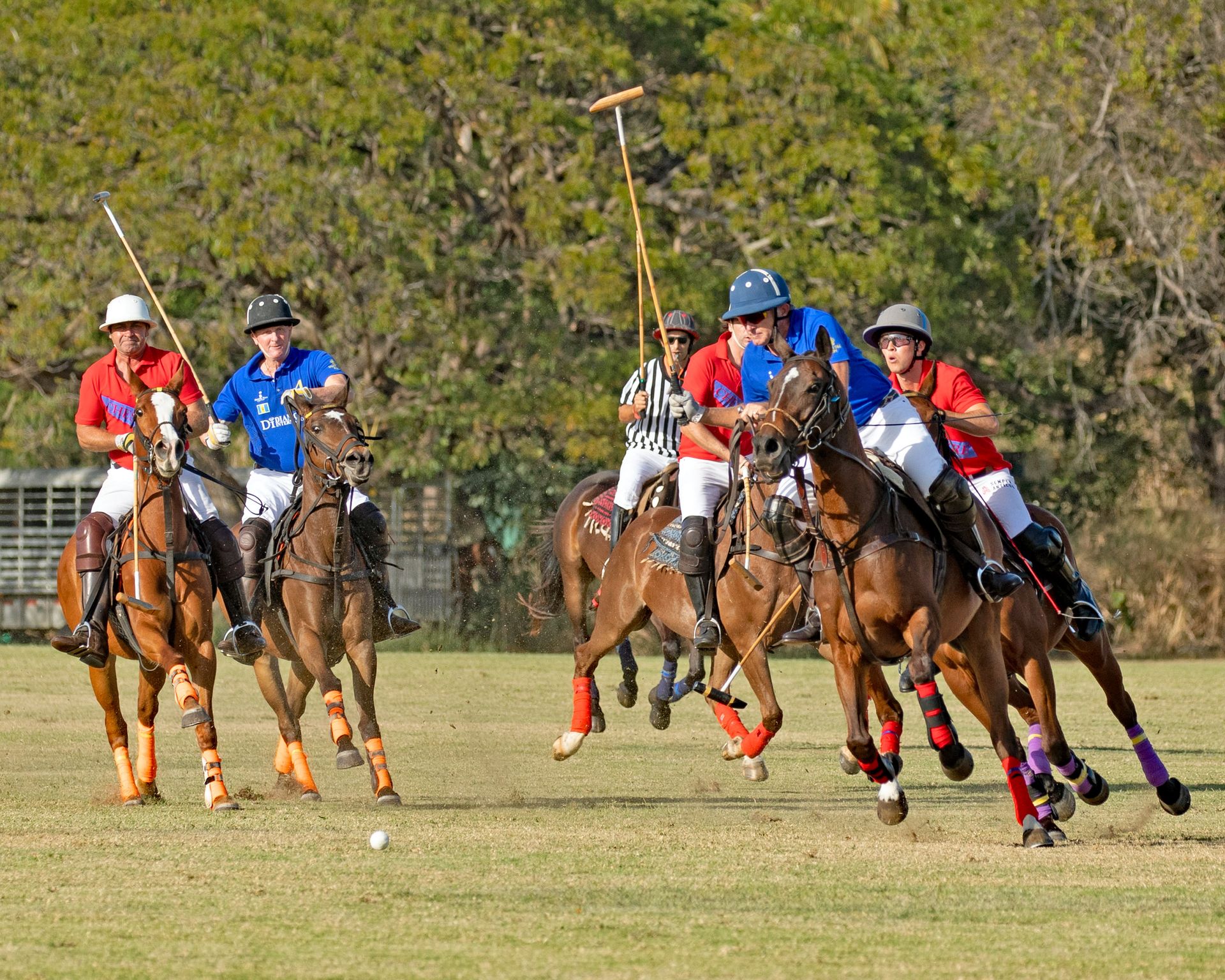 polo match polo match