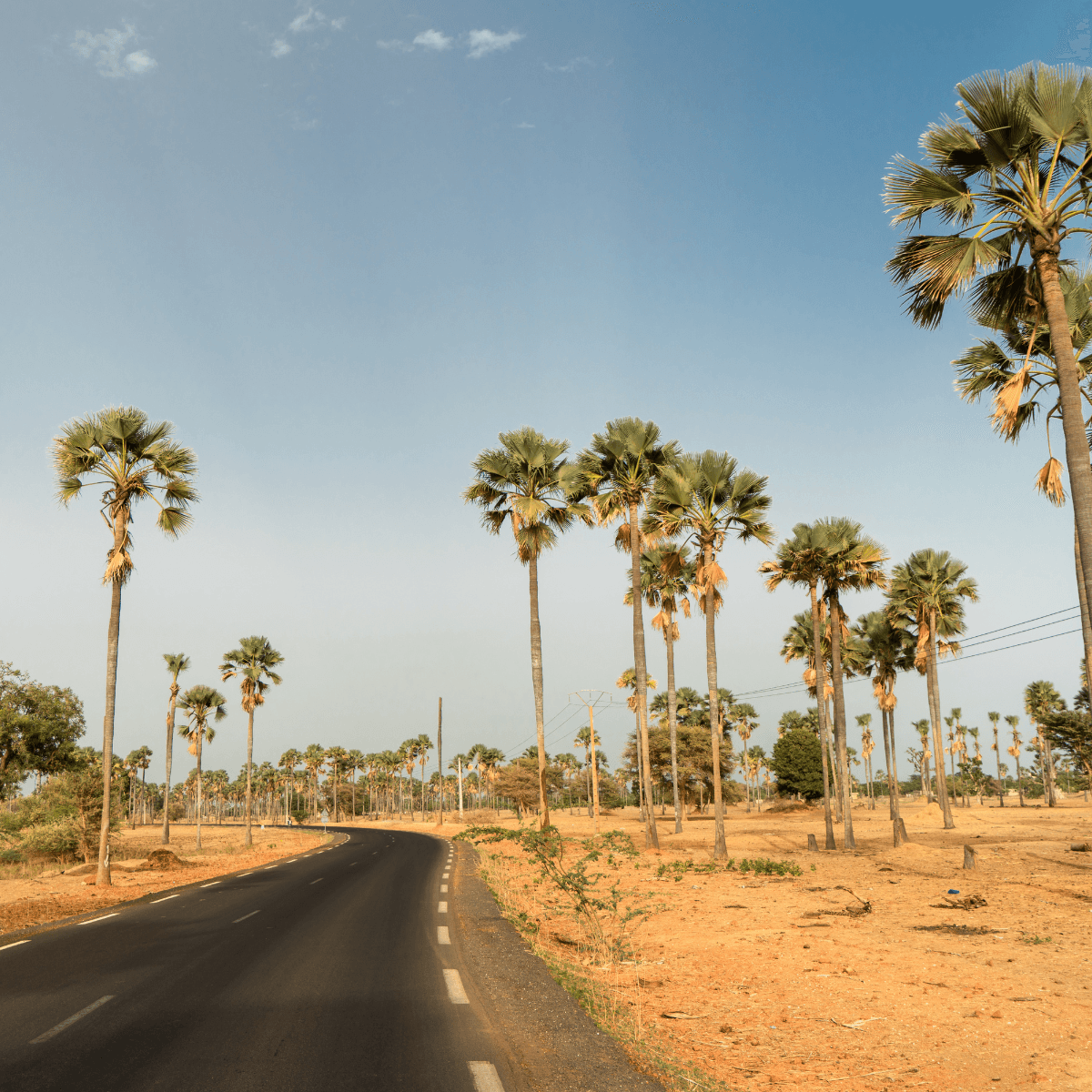 Los Angeles visual data 3