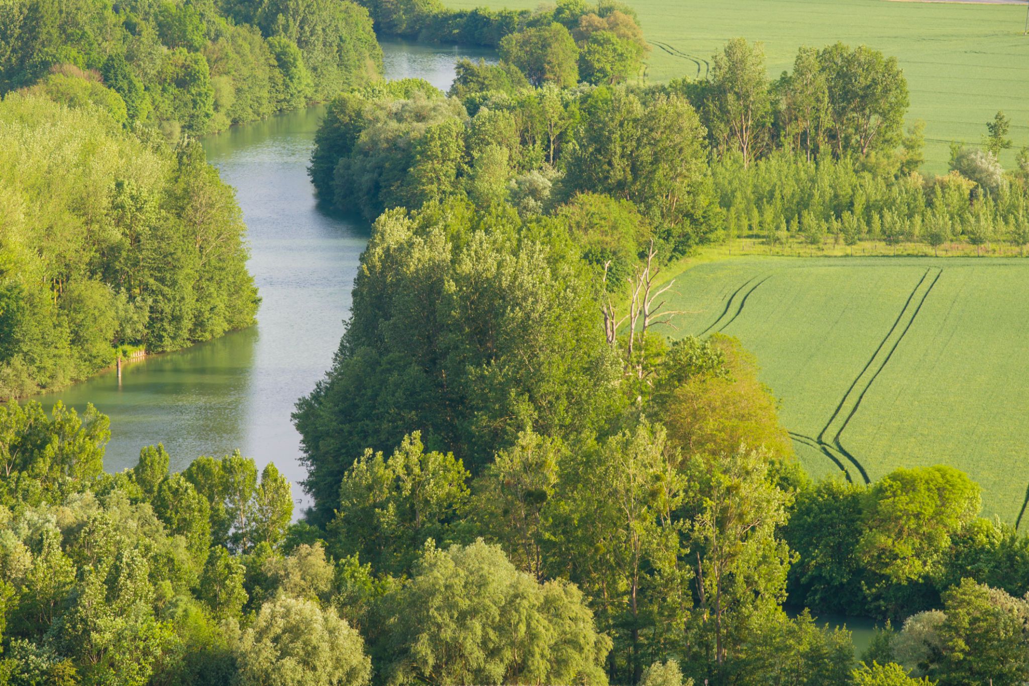 spring seine et marne