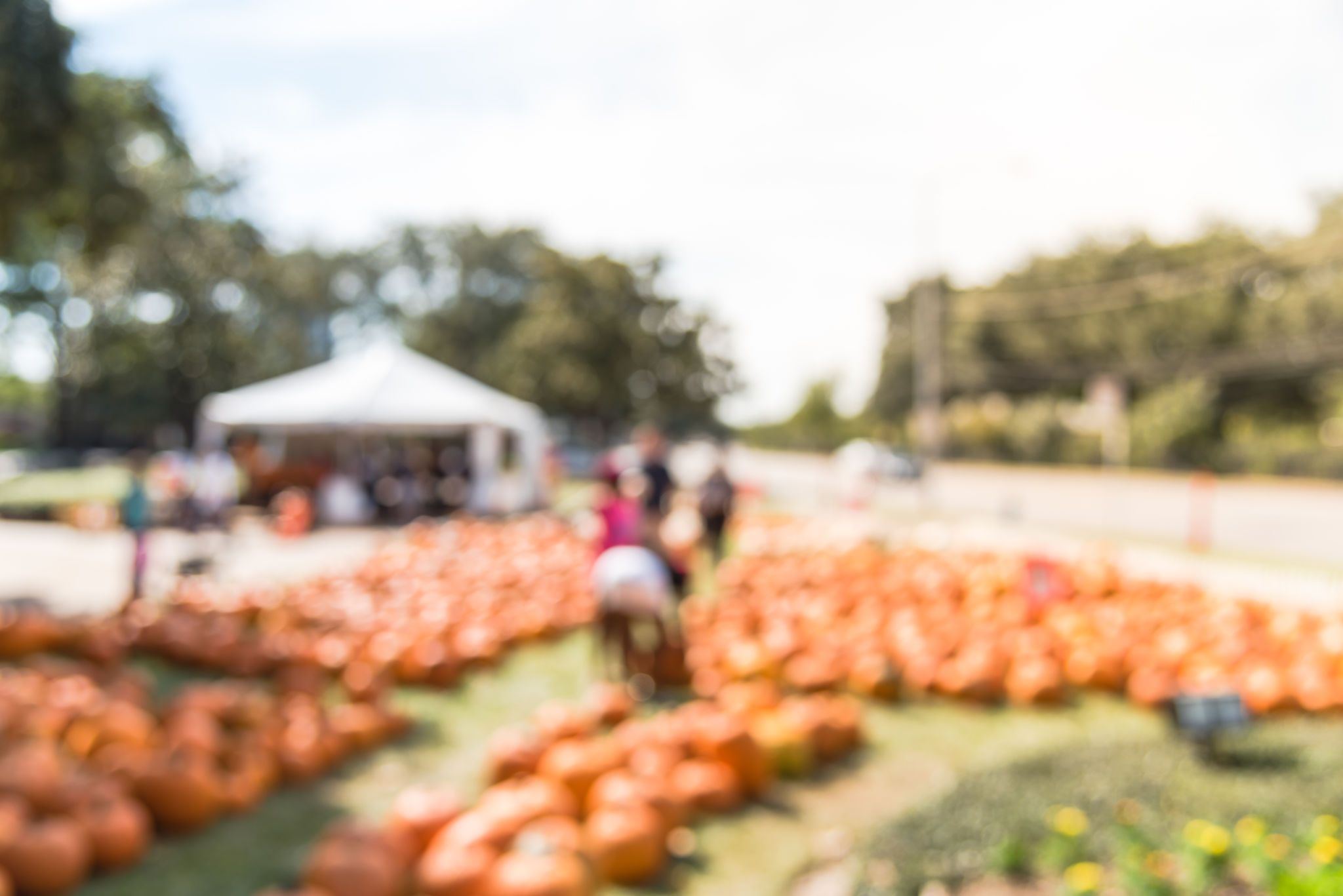 houston fall festival