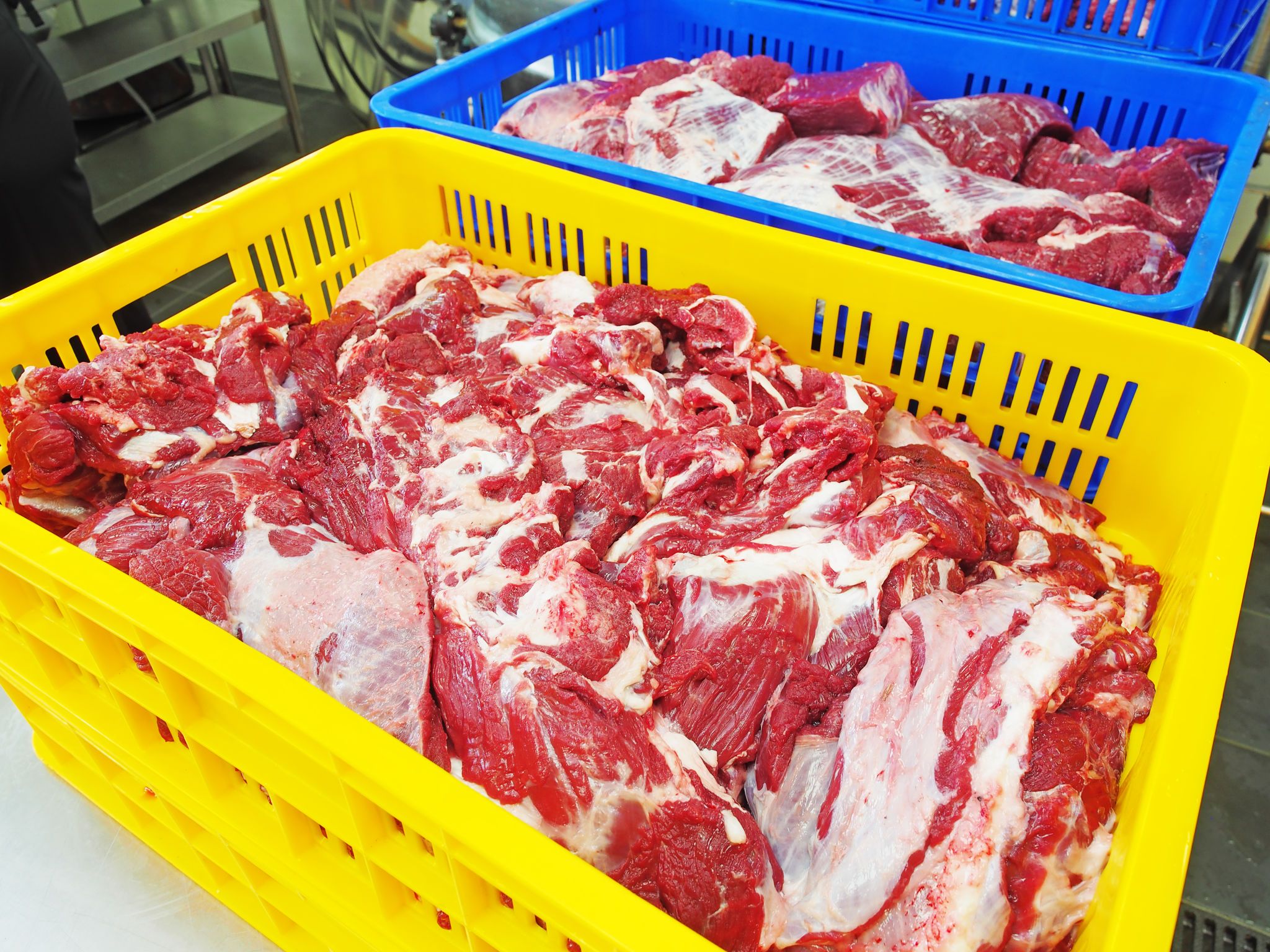 asia beef market