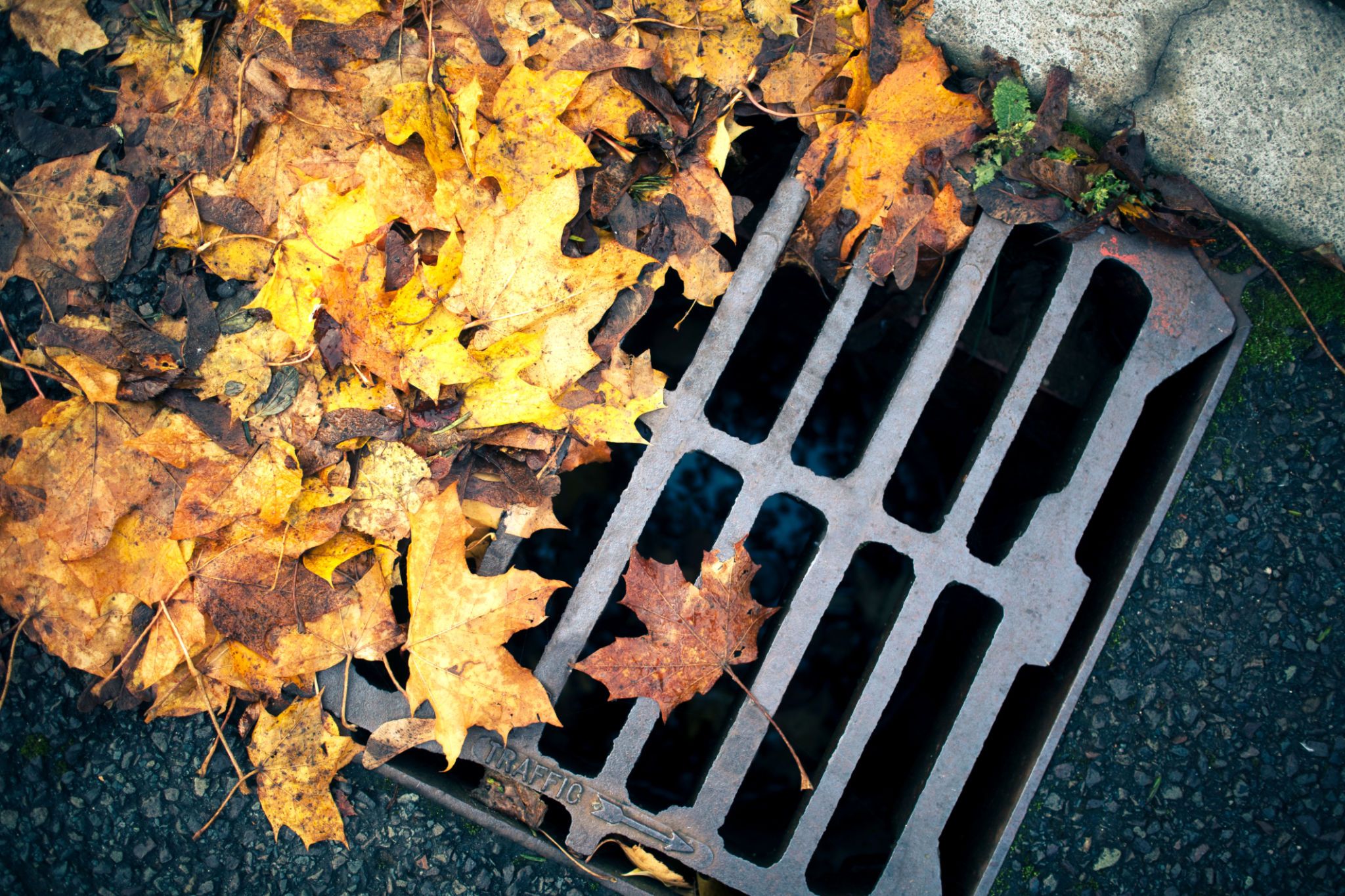 Comprehensive Guide to Drainage Solutions in the UK