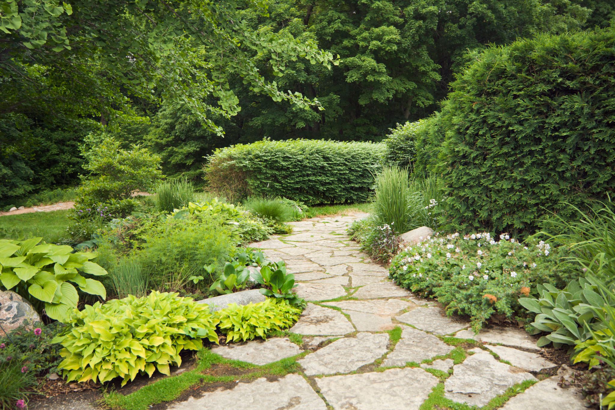 garden pathway