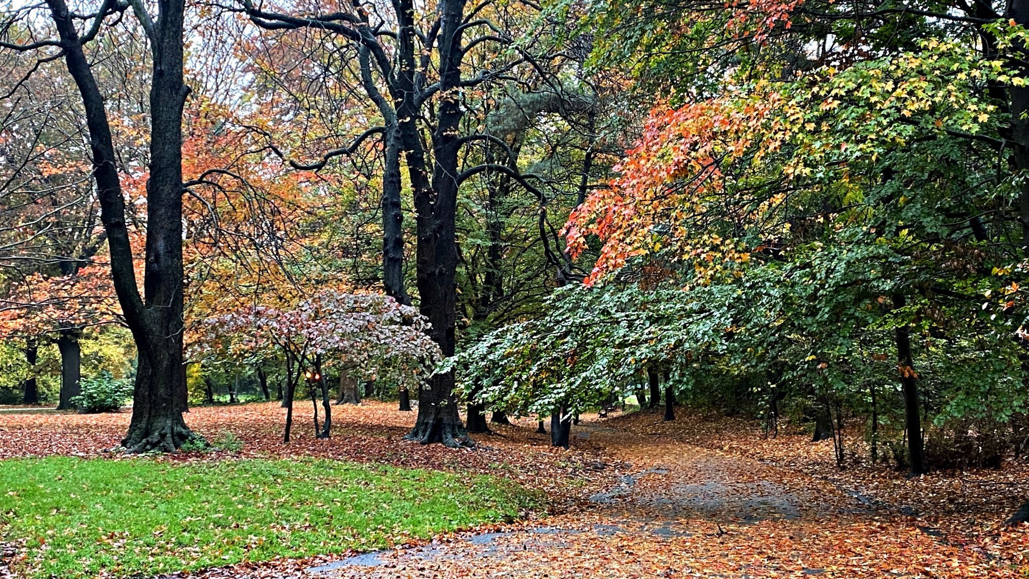 prospect park