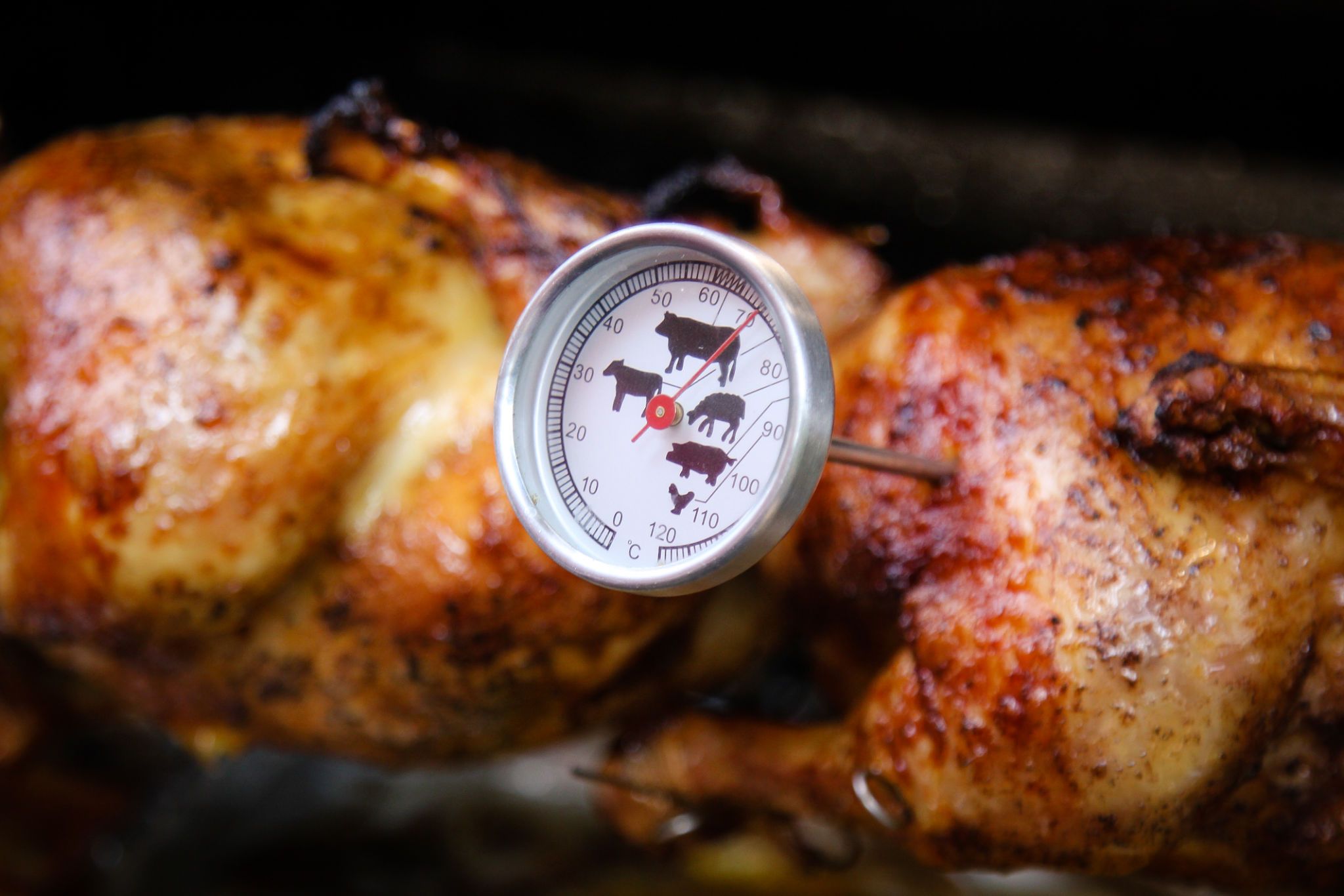 meat thermometer