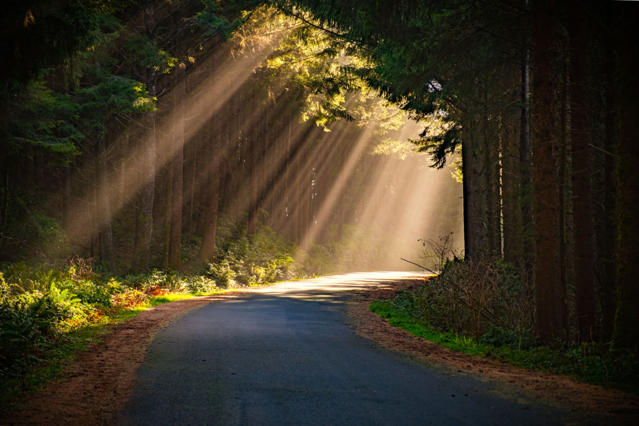 pathway lighting