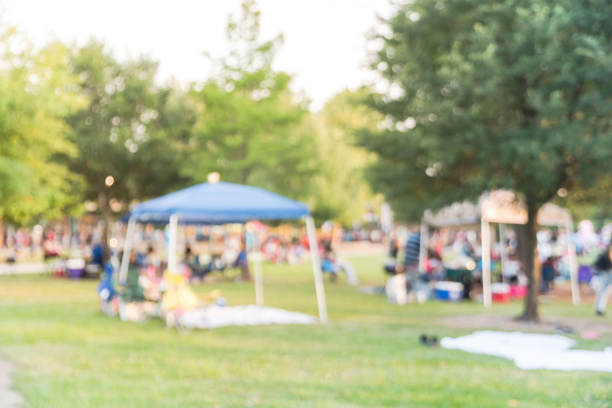 texas outdoor concert
