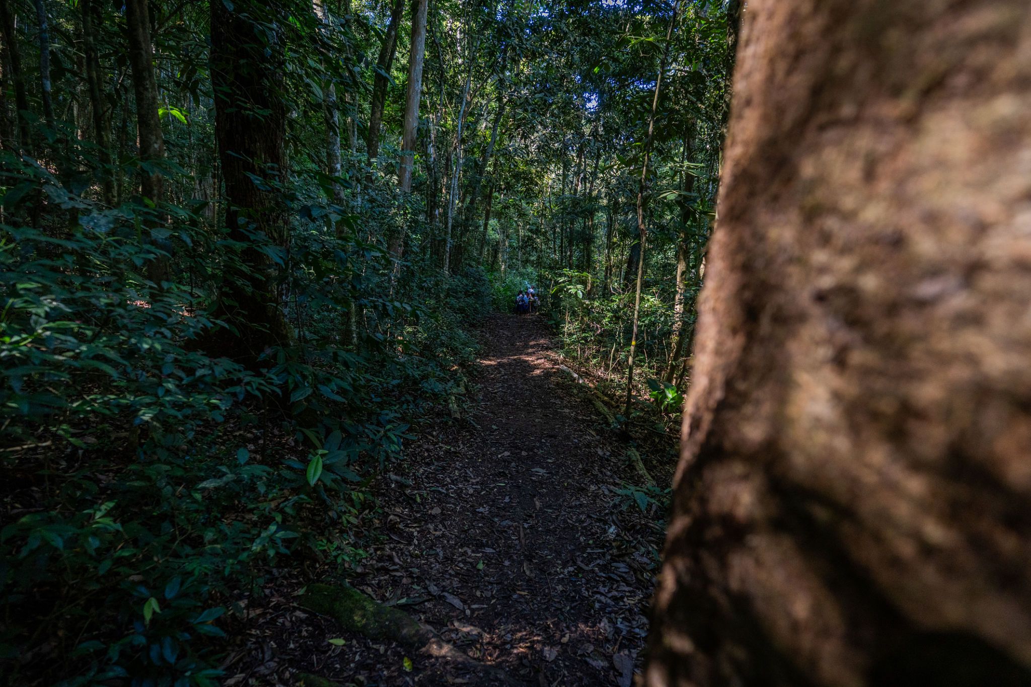 educação ambiental