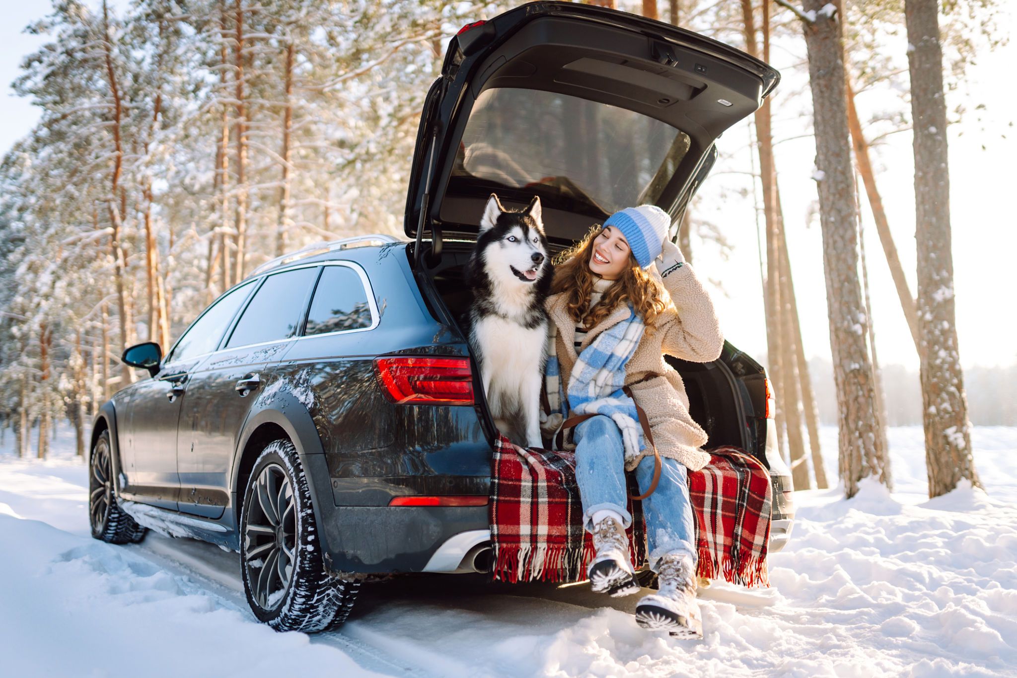 winter car