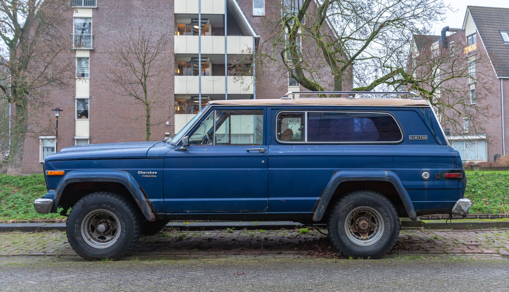 limited edition collectibles