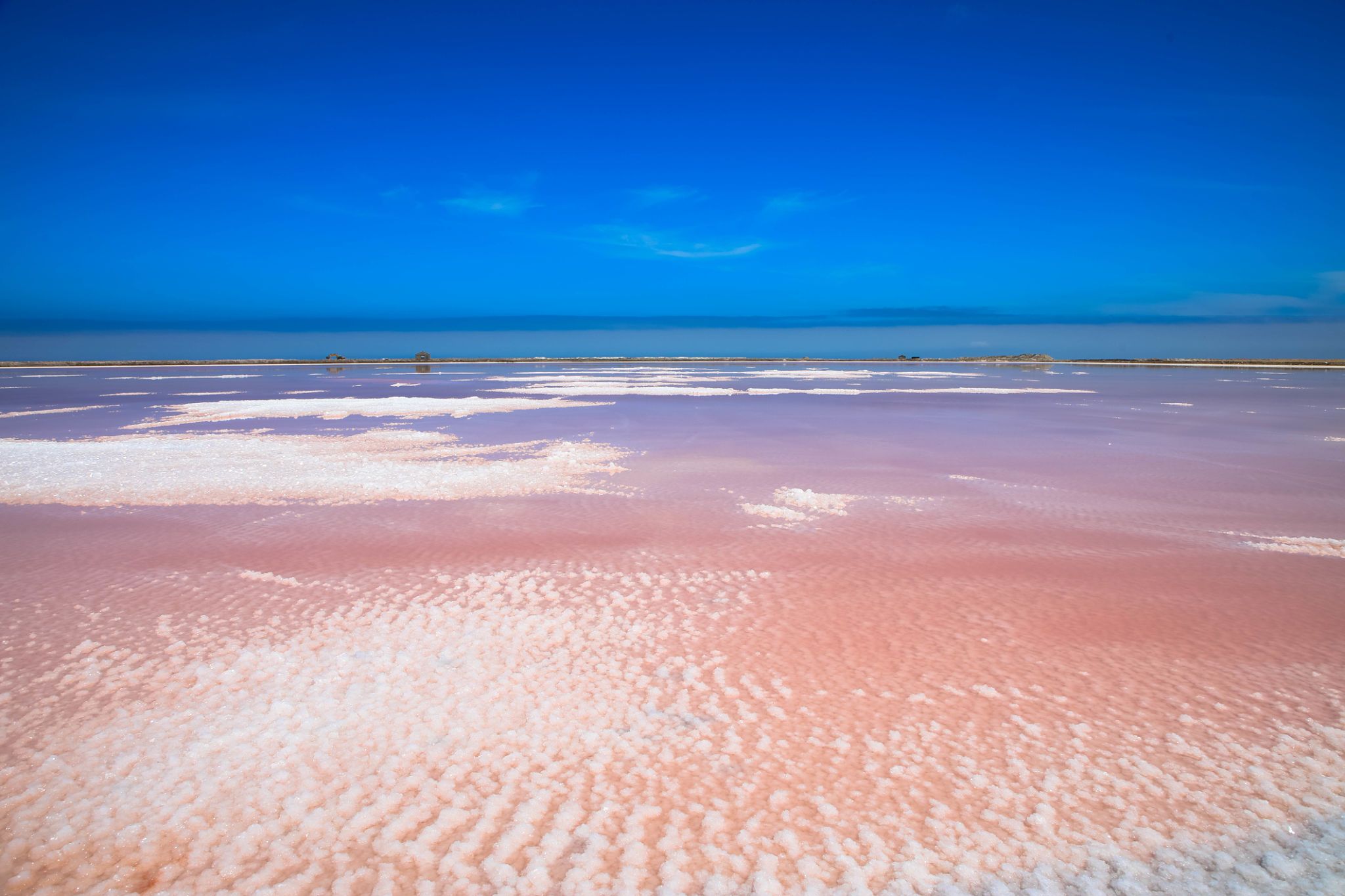 holiday food packaging