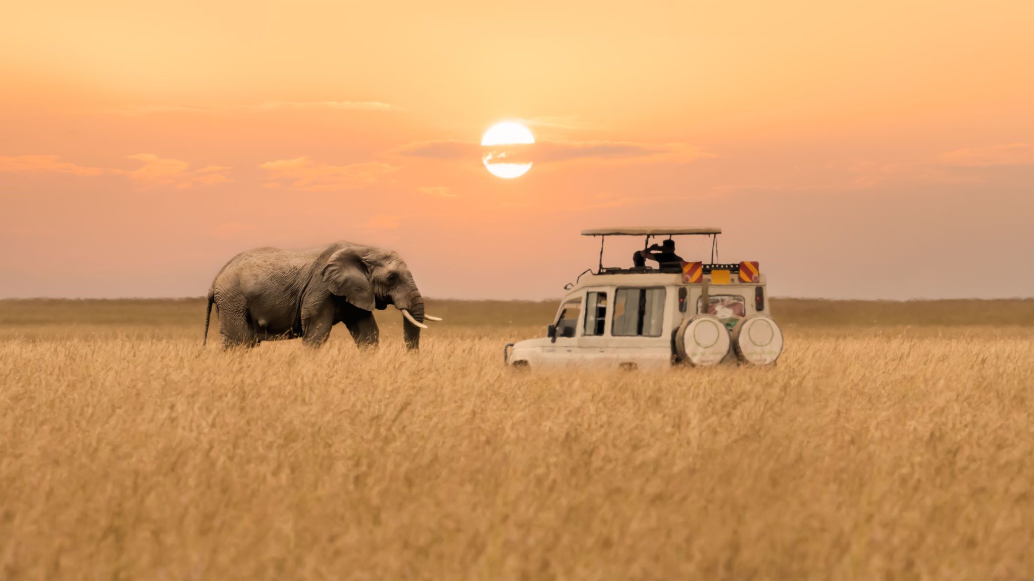 africa safari