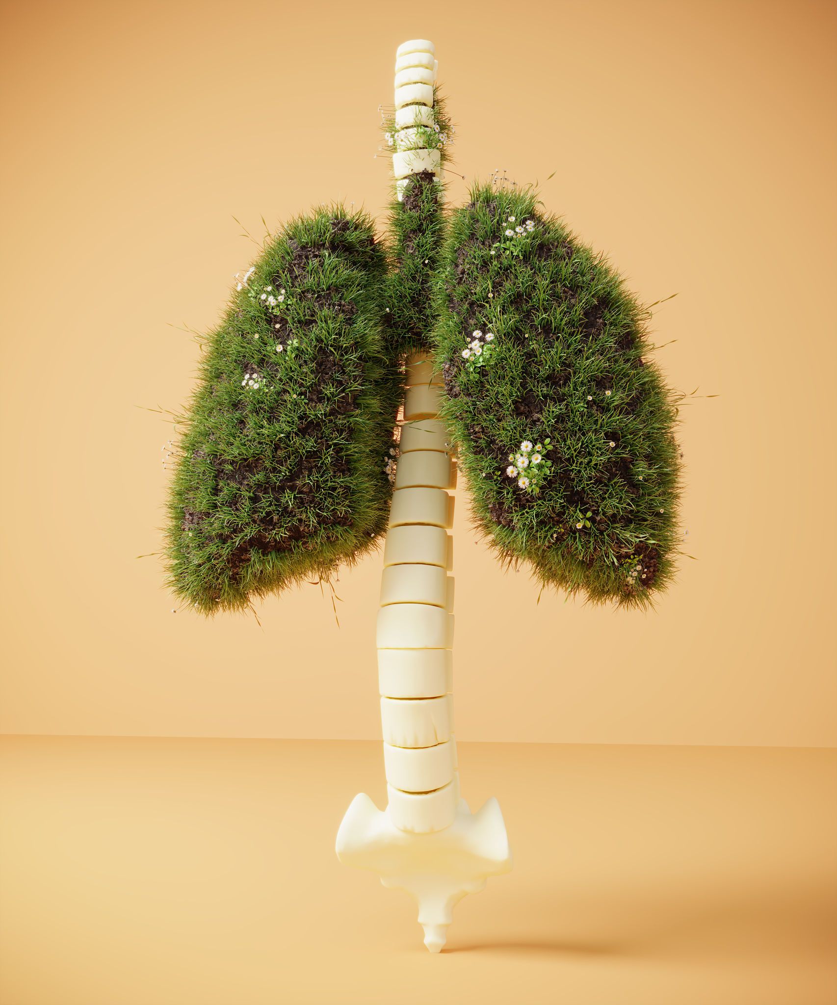 sustainable healthcare