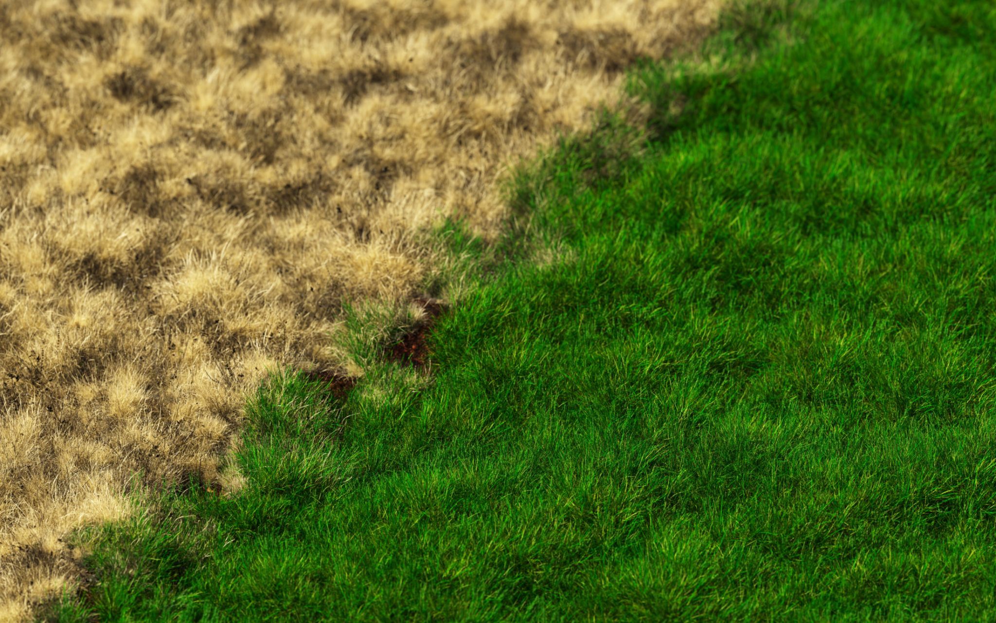 eco-friendly materials