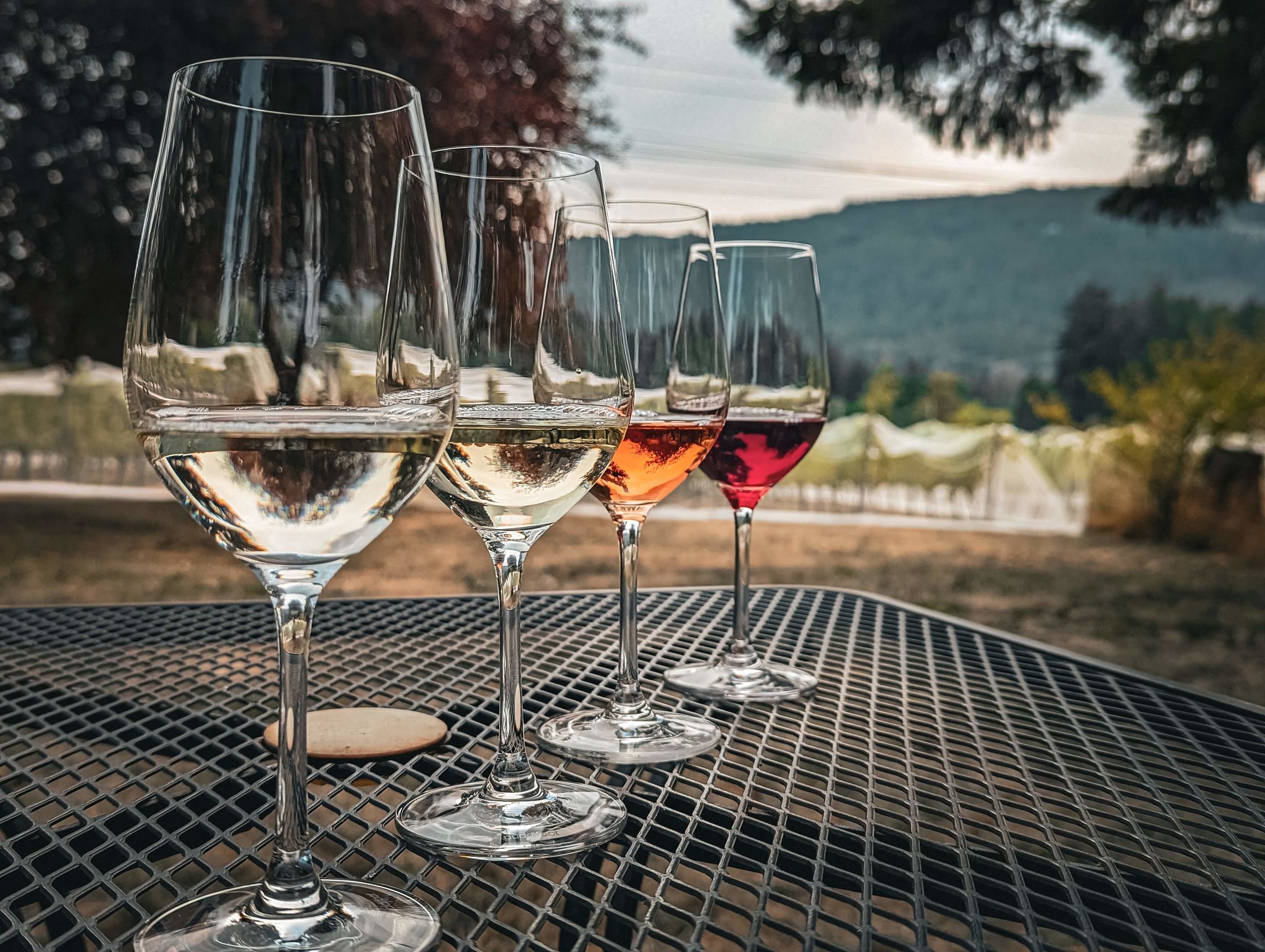 food and wine tour canada