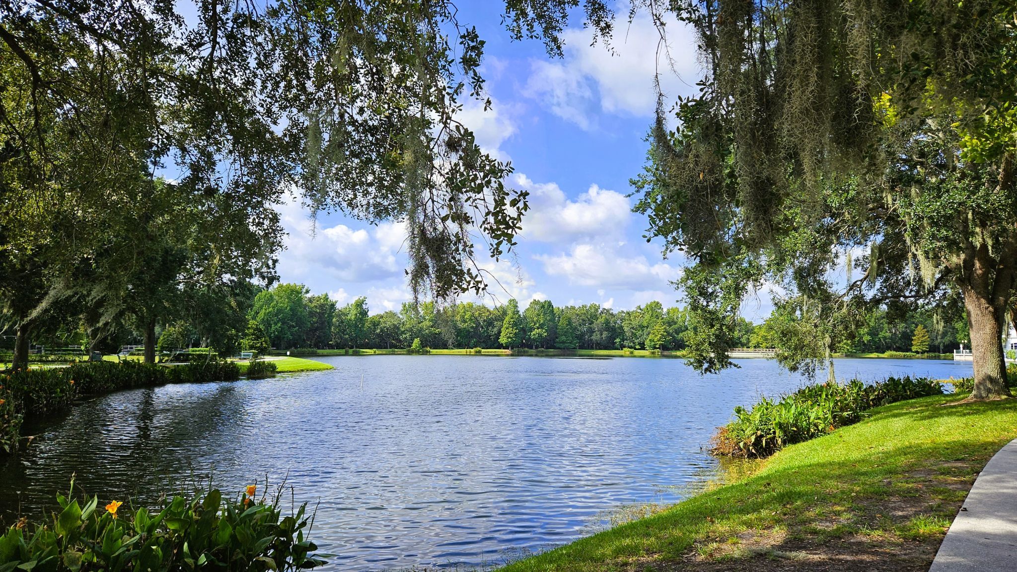 central florida landscape